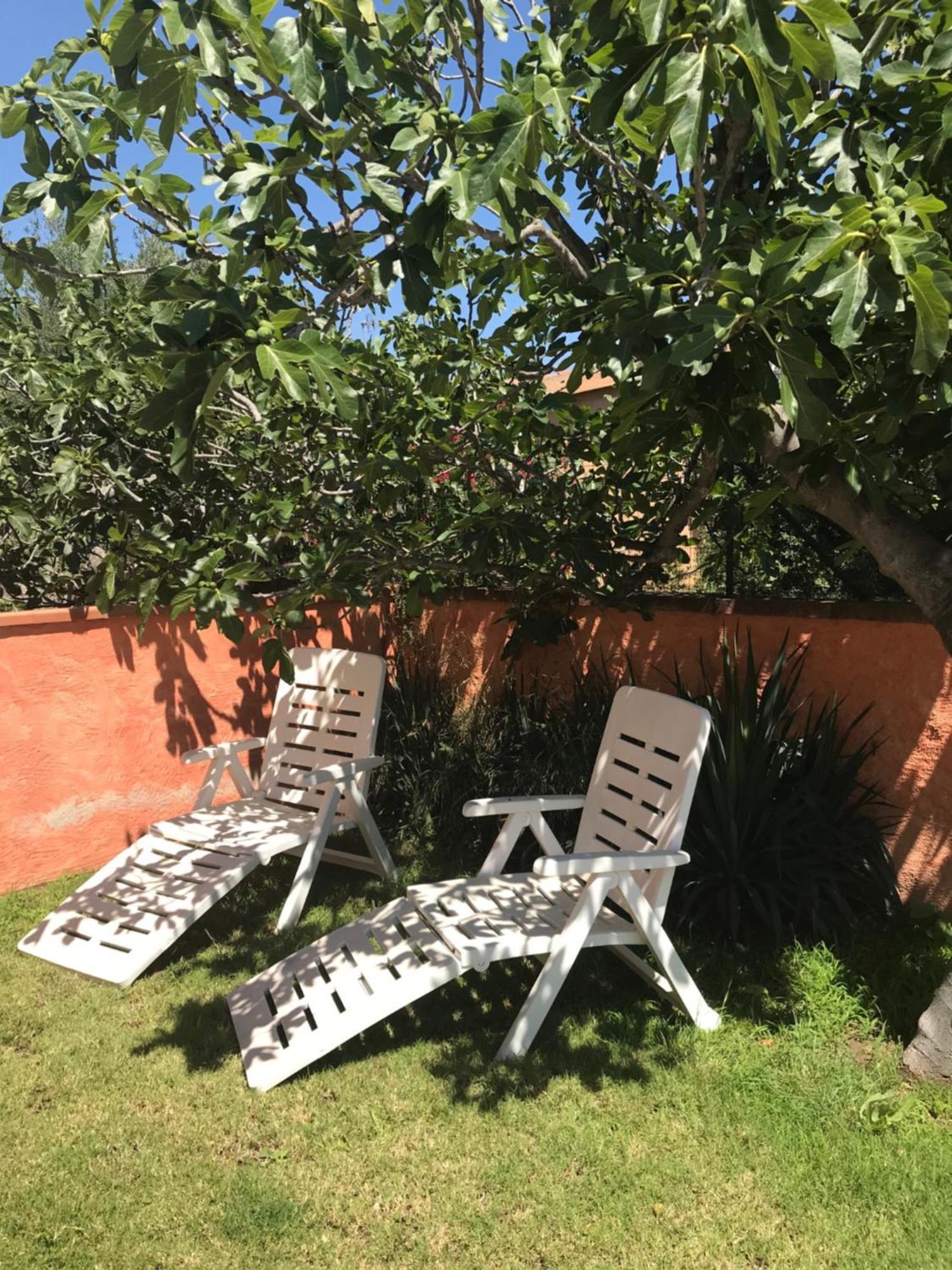 B&B Da Tizy San Teodoro  Exteriör bild